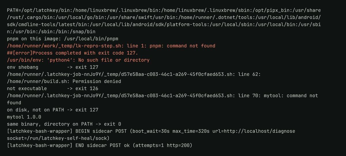Runner log with four cases: three exits of 127, one of 126, and the same binary working once PATH holds it