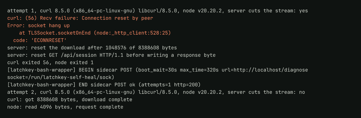Runner log: curl exit 56 and a Node socket hang up from one reset, then both transfers completing