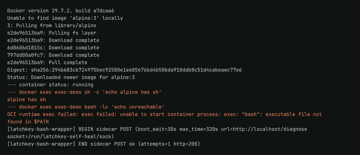 Runner log: one exec succeeding with sh and the next failing on a missing bash