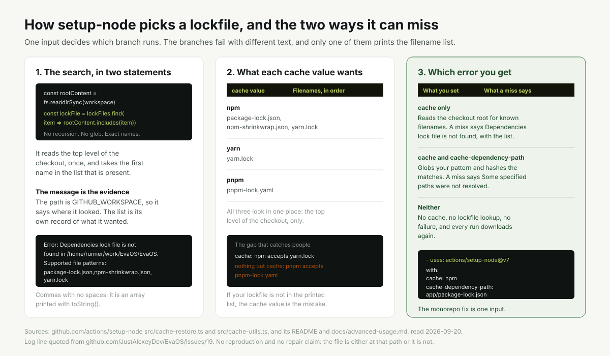 How setup-node picks a lockfile to hash, and the two different errors a miss produces