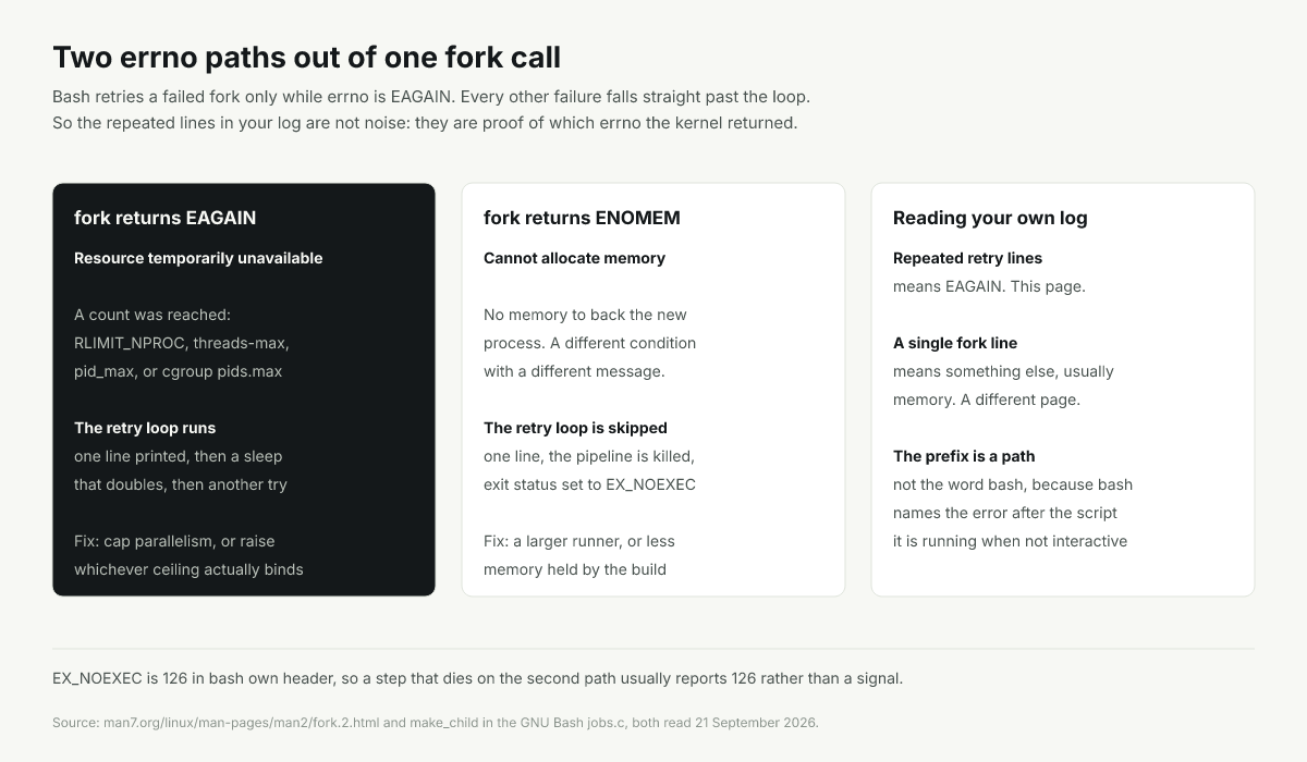 Two errno paths out of fork: EAGAIN retries and says Resource temporarily unavailable, ENOMEM does not